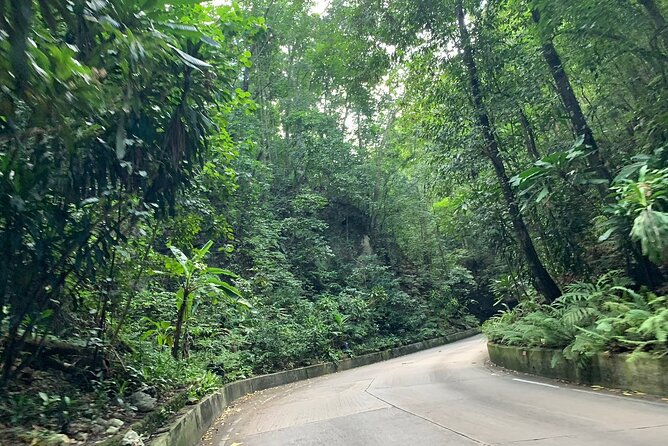 Private Ocho Rios Tour With Dunns River Falls and Lunch - Health and Safety Guidelines