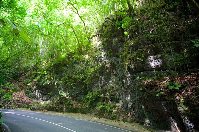 Private Ocho Rios Tour With Dunns River Falls and Lunch - Tour Inclusions and Exclusions