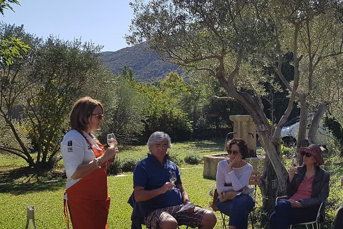 Private Oenogourmande Walk in the Luberon With Tastings - Customer Review Highlights