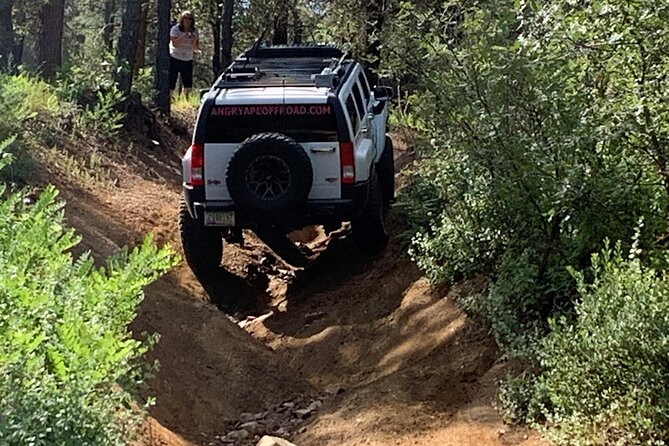 Private Off Road Adventure Tours in the Prescott National Forest - Photo Opportunities Galore