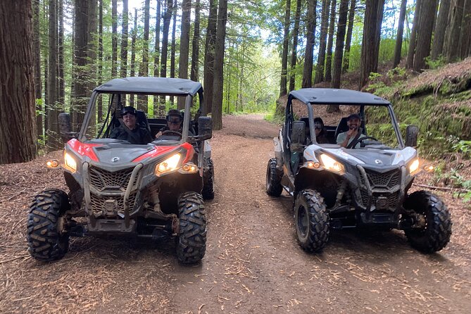 Private Off-road Buggy Driving Experience - Exploring Laurisilva Rainforest