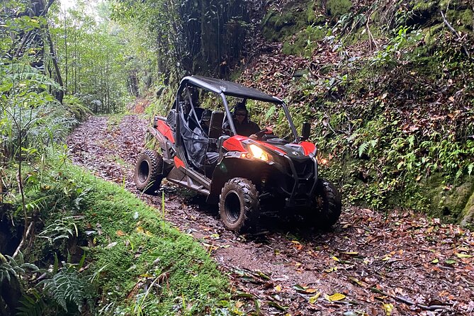 Private Off-road Buggy Driving Experience - Whats Included in the Activity