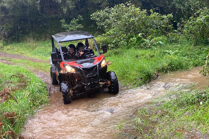 Private Off-road Buggy Driving Experience - Pricing and Reviews