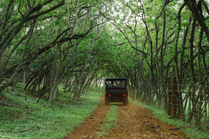 Private Off Road Explorers Tour - Booking Information and Policies