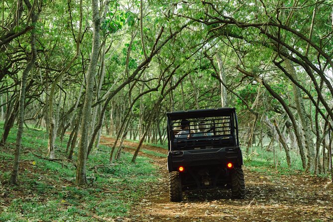 Private Off-Road Sunset Dinner - Reservation Requirements