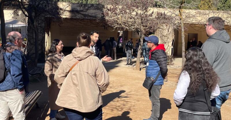 Private Official Guide in Granada - Experience Highlights