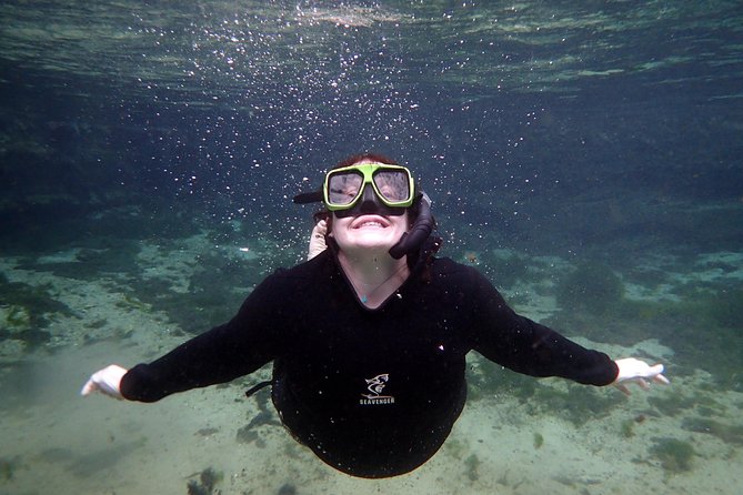 Private OG Manatee Snorkel Tour With Guide for up to 10 People - Additional Info