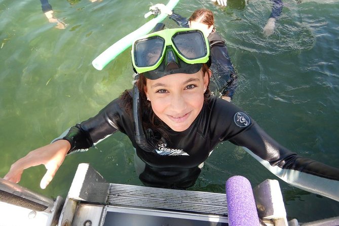 Private OG Manatee Snorkel Tour With Guide for up to 10 People - Knowledgeable Guides
