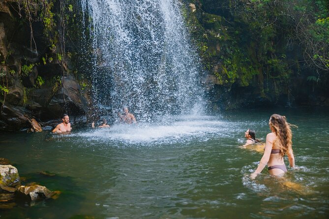 Private Ohana Kohala Waterfalls Adventure - Experience Highlights