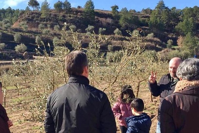 Private Oil Tasting Tour - Catalan Products Accompaniment
