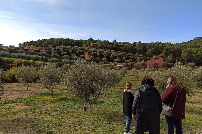 Private Oil Tasting Tour - Booking and Cancellation Policy