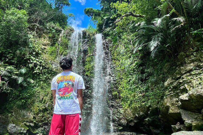 Private Okinawa Tour - 7 hours Pickup from anywhere in Okinawa - Key Points