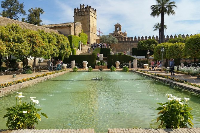 Private Old Cordoba Walking Tour and Mosque-Cathedral - Why Choose This Tour
