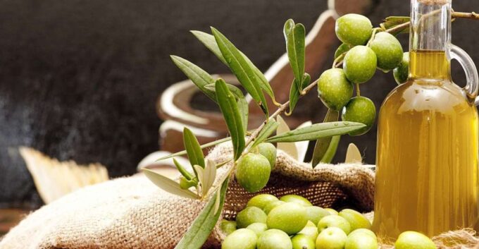 Private Olive Oil Tour & Tasting With Lunch From Katakolo - Olive Oil Expertise and Education