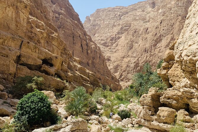 Private Oman Desert Overnight in Wahiba Sand and Wadi Exploration - Physical Requirements and Accessibility