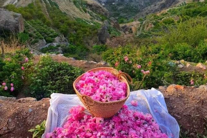 Private Oman Full Day Guided Sightseeing Tour - Pickup Information