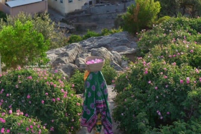 Private Oman Full Day Guided Sightseeing Tour - Highlights of the Tour