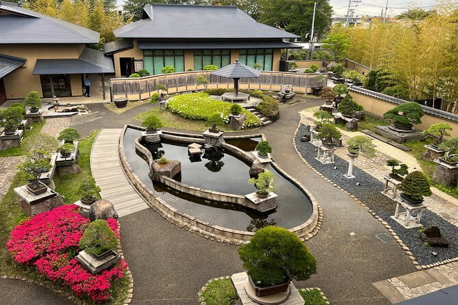 Private Omiya Bonsai Village Tour With Licensed Guide - Key Points