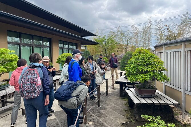Private Omiya Bonsai Village Tour With Licensed Guide - Experiencing Traditional Japanese Culture