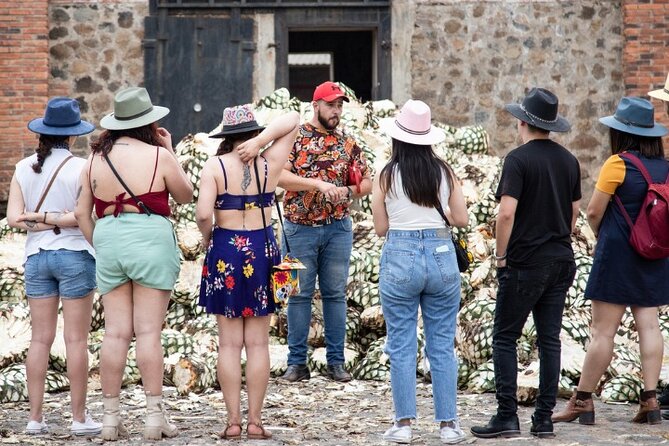 Private One Day Adventure Tour in Tequila and La Fortaleza Distillery - Guadalajara Location
