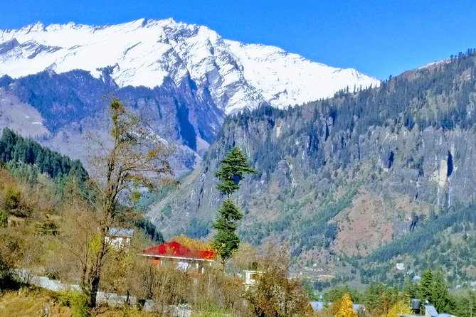 Private One Day Hiking Trip in Manali, Scenic Mountain Trail in Manali - Hiking Difficulty and Fitness Level