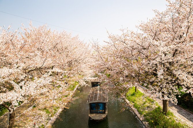 Private One Day Nikko Tour With Bilingual Driver - Cancellation Policy