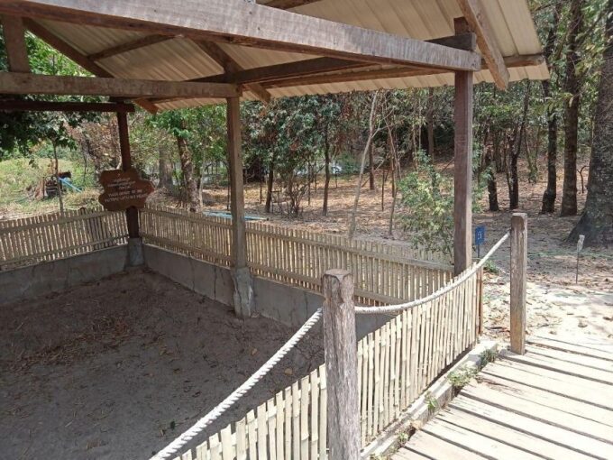 Private One Day Tour in Phnom Penh Capital City - Tour Experience