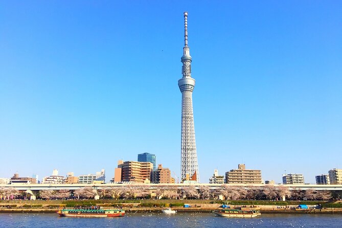 Private One Day Tour in Tokyo With Limousine and Driver - Accessibility and Accommodations