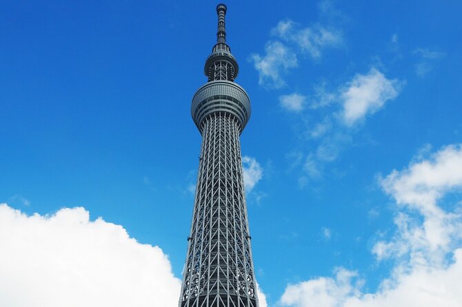 Private One Day Tour in Tokyo With Limousine and Driver - Tour and Group Information