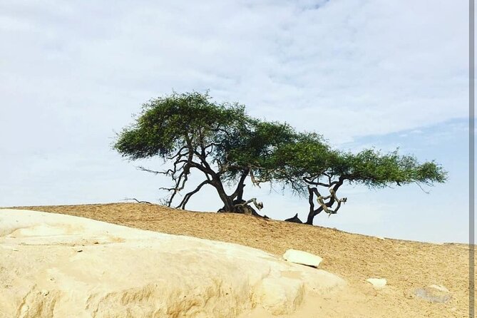 Private One Day Tour to the White Desert From Cairo - Safety and Accessibility