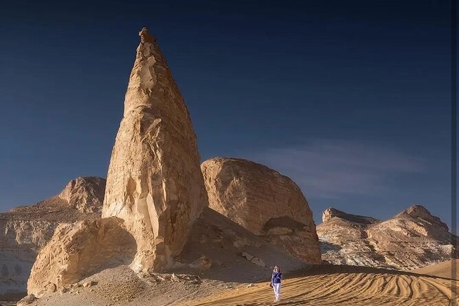 Private One Day Tour to the White Desert From Cairo - Reviews and Ratings