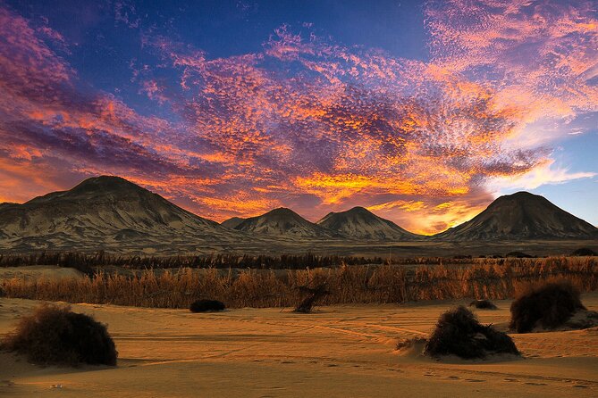 Private ONE Night Camping in White and Black Desert From Cairo - Pricing and Booking