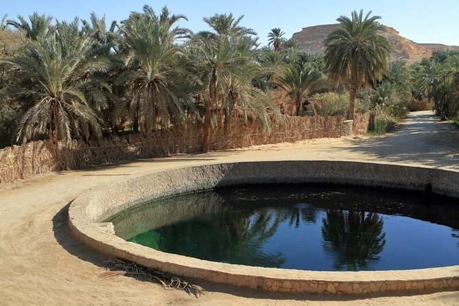 Private ONE Night Camping in White and Black Desert From Cairo - Pickup and Transportation