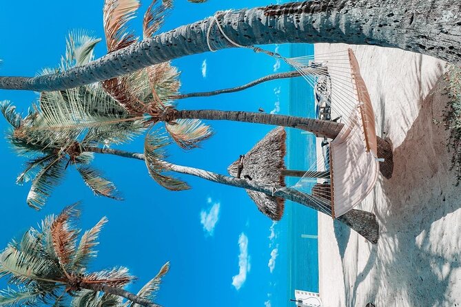 Private One Way Airport Shuttle Miami, Key Largo, Islamorada - Availability and Reservations