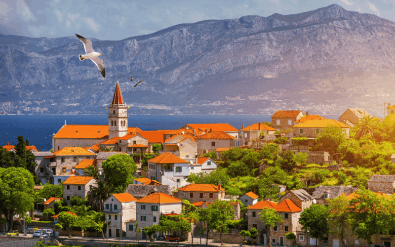 Private One Way Transfer From Brac to Split - Travel Experience