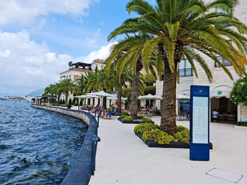 Private One Way Transfer From Dubrovnik or Airport to Tivat - Important Notes