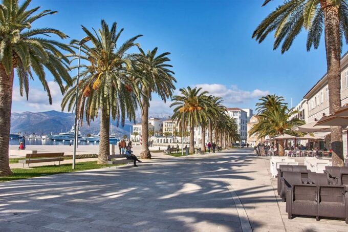 Private One Way Transfer From Dubrovnik or Airport to Tivat - Language and Accessibility