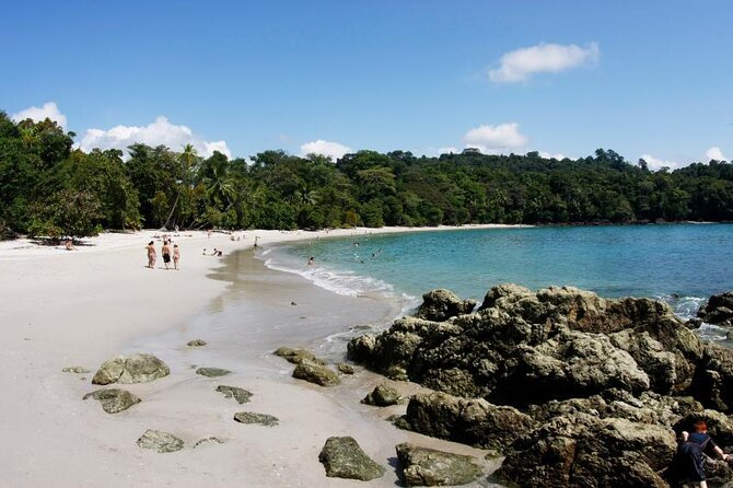 Private One Way Transfer From Manuel Antonio to San José (Airport Sjo) - Key Points