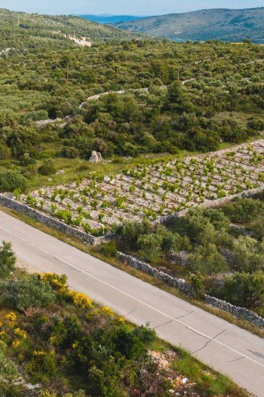 Private One Way Transfer From Orebić to Dubrovnik - Experience Highlights