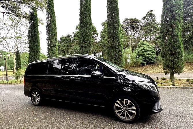 Private One-Way Transfer Lisbon City From/To Lisbon Airport - Pickup and Drop-off Process
