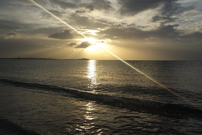 Private One Way Transfer Sju Airport to Rincon, Aguada and Añasco - Accessibility and Participation