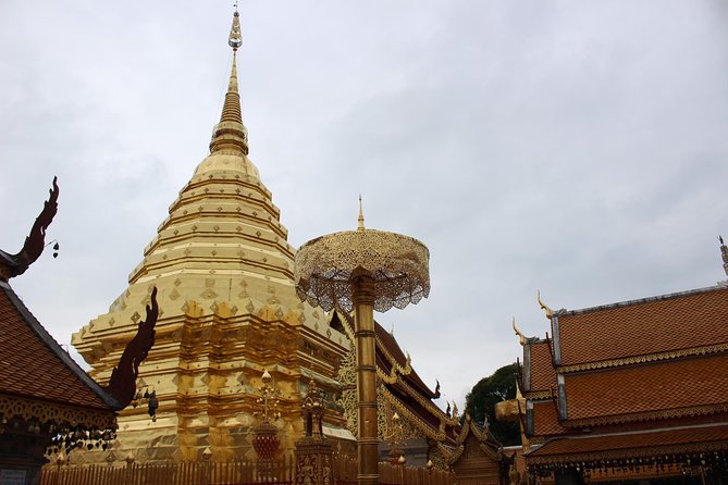Private Oneday! Morning Alms&Doi Suthep&Wat Umong + Umbrella Village&Hot Spring - Tour Details