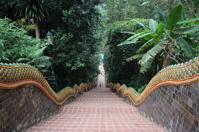 Private Oneday! Morning Alms&Doi Suthep&Wat Umong + Umbrella Village&Hot Spring - Morning Alms and Temples