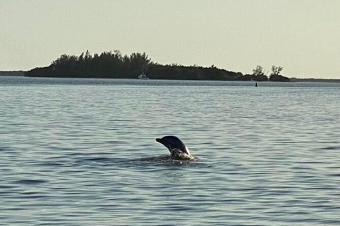 Private ONLY Dolphin Boat Tours - Exclusions