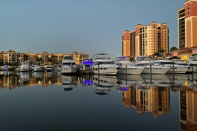 Private ONLY Dolphin Boat Tours - Expert Captains
