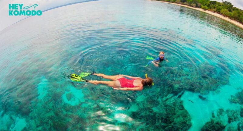 Private Or Sharing Snorkeling Tour Nusa Penida & West Tour - Itinerary and Activities