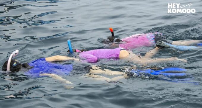 Private Or Sharing Snorkeling Tour Nusa Penida & West Tour - Recommendations
