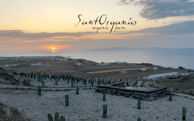 Private Organic Vineyard Visit With Liqueur Tasting - What to Expect