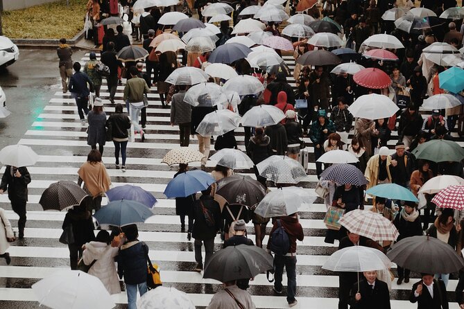 Private Osaka Tour With English Speaking Chauffeur - Attractions and Costs