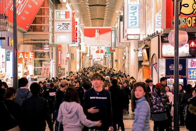 Private Osaka Tour With English Speaking Chauffeur - Group Information